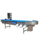 Abalone weight sorting grading machine