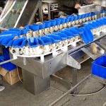 Weight sorting machine for potato