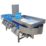 Shrimp weight sorting machine weight sorter machine