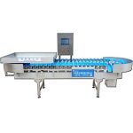 Shrimp weight sorting machine weight sorter machine