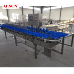 Fish sorting machine