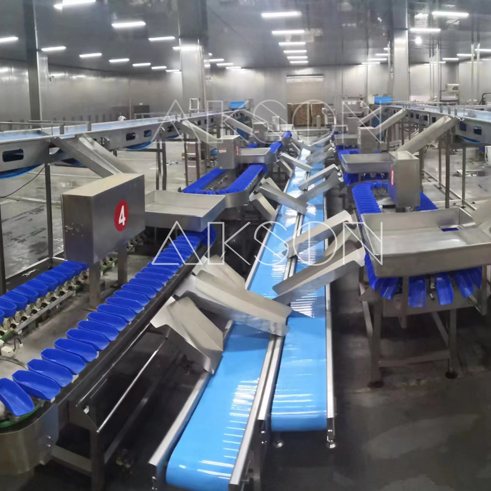 Briefly describe the features of easy-to-clean conveyor belts and weight sorters