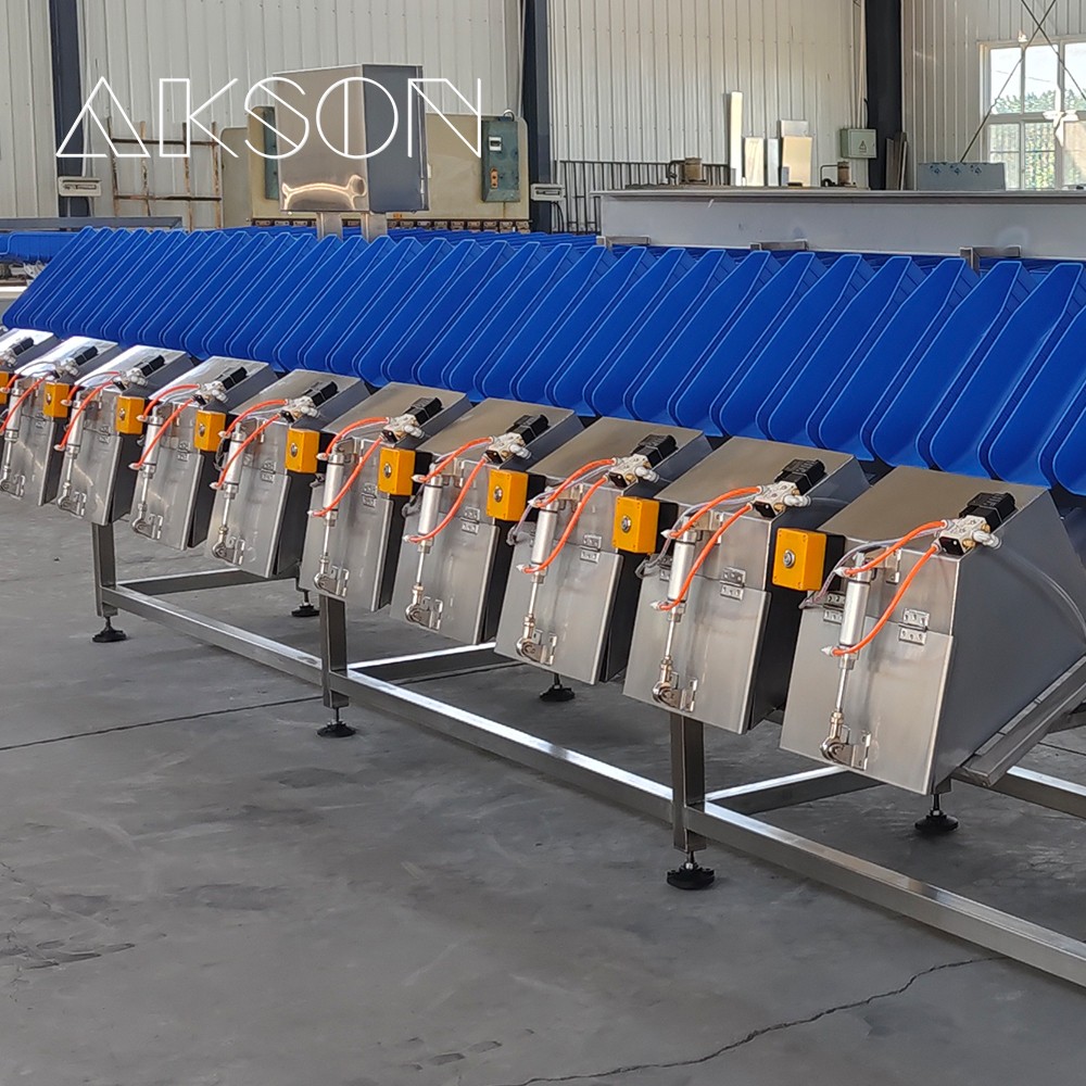 Asparagus Sorting Line and processing flow